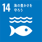 持続可能な開発のために海洋・海洋資源を保全し、持続可能な形で利用する